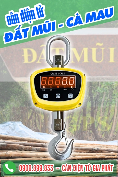 Giao cân treo GGE 1 tấn 2 tấn cân cây đước ở xã Đất Mũi Cà Mau
