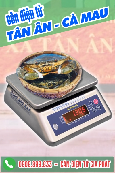 Cân điện tử ở Tân Ân Cà Mau - Cân Gia Phát