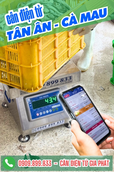 Cân điện tử ở Tân Ân Cà Mau - Cân Gia Phát
