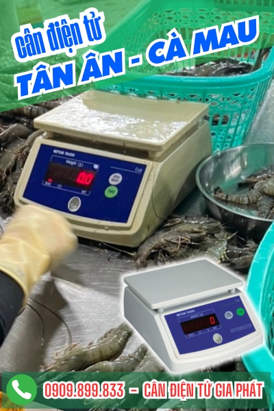 Cân điện tử ở Tân Ân Cà Mau - Cân Gia Phát