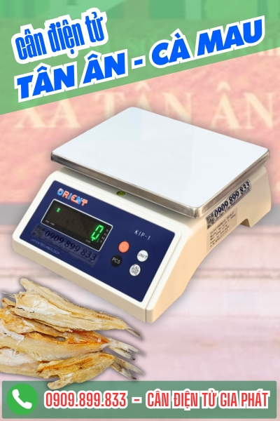 Cân điện tử ở Tân Ân Cà Mau - Cân Gia Phát