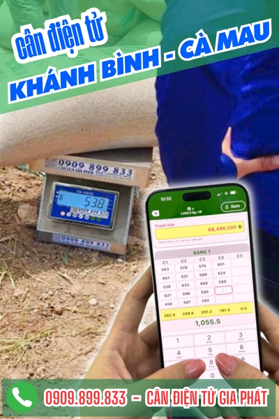 Cân điện tử ở xã Khánh Bình Cà Mau - Cân Gia Phát