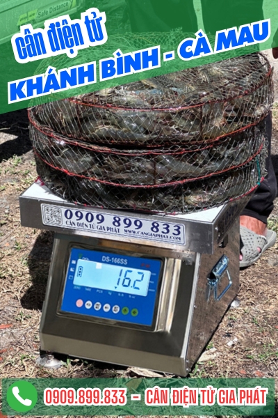 Cân điện tử ở xã Khánh Bình Cà Mau - Cân Gia Phát