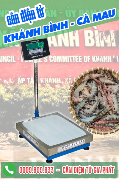 Cân điện tử ở xã Khánh Bình Cà Mau - Cân Gia Phát