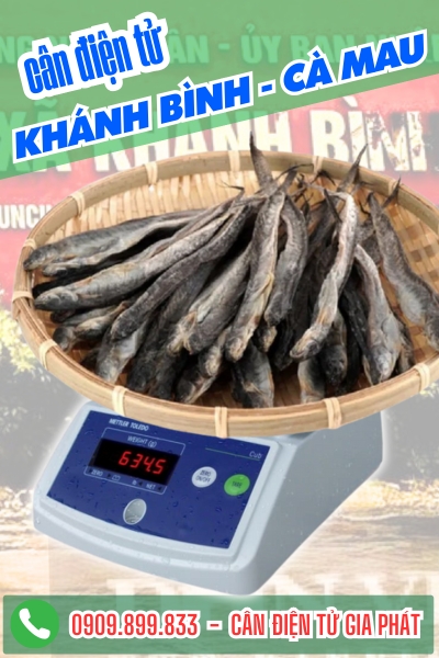 Cân điện tử ở xã Khánh Bình Cà Mau - Cân Gia Phát