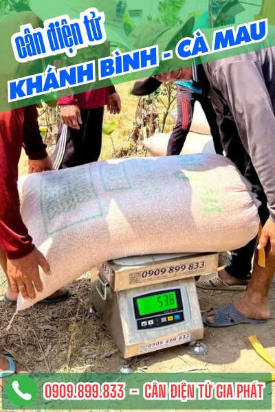 Cân điện tử ở Khánh Bình Cà Mau - Cân Gia Phát