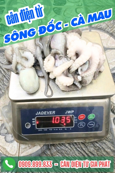 C&acirc;n điện tử ở x&atilde; S&ocirc;ng Đốc C&agrave; Mau - C&acirc;n Gia Ph&aacute;t