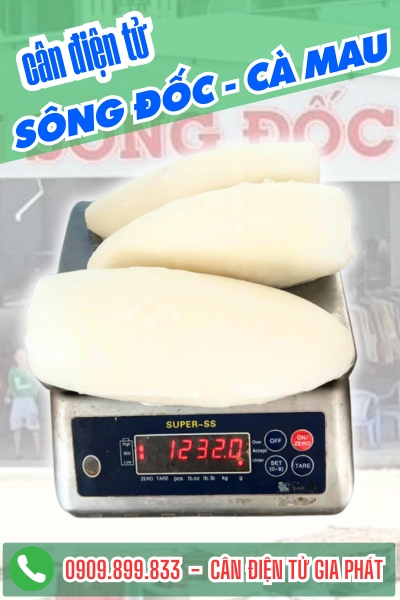 C&acirc;n điện tử ở x&atilde; S&ocirc;ng Đốc C&agrave; Mau - C&acirc;n Gia Ph&aacute;t