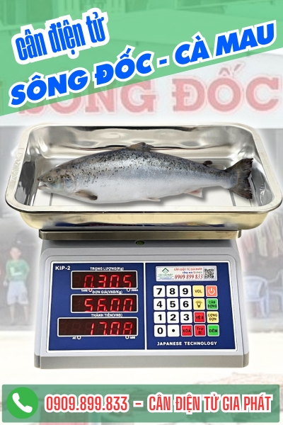 C&acirc;n điện tử ở x&atilde; S&ocirc;ng Đốc C&agrave; Mau - C&acirc;n Gia Ph&aacute;t