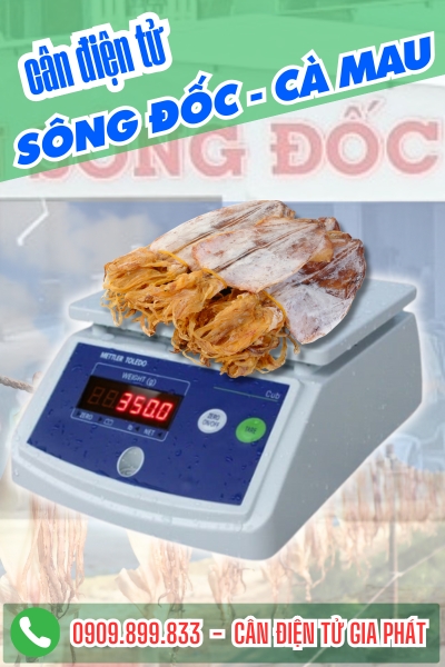 C&acirc;n điện tử ở x&atilde; S&ocirc;ng Đốc C&agrave; Mau - C&acirc;n Gia Ph&aacute;t