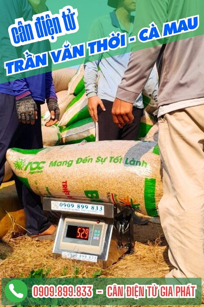 Cân điện tử ở Trần Văn Thời Cà Mau - Cân Gia Phát