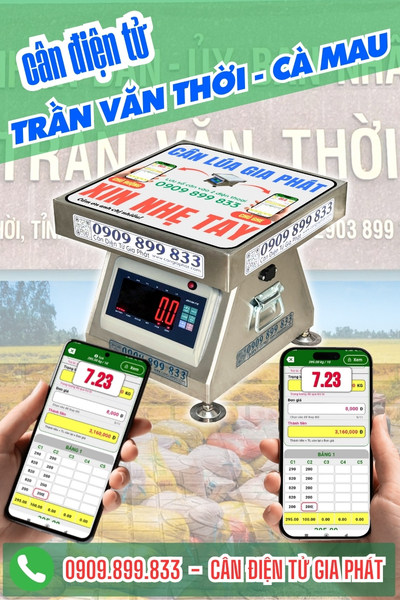 Top cân điện tử ở xã Trần Văn Thời Cà Mau chuyên cân lúa chống nước tốt, kết nối 2 điện thoại