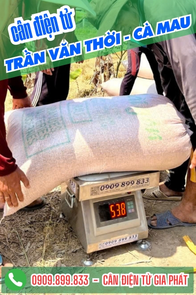 Cân điện tử ở Trần Văn Thời Cà Mau - Cân Gia Phát