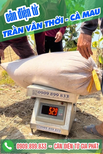 Cân điện tử ở Trần Văn Thời Cà Mau - Cân Gia Phát