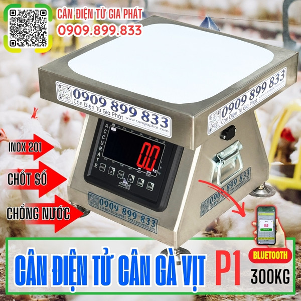 Cân gà vịt chốt số 200kg 300kg inox chống nước bán chạy nhất hiện nay