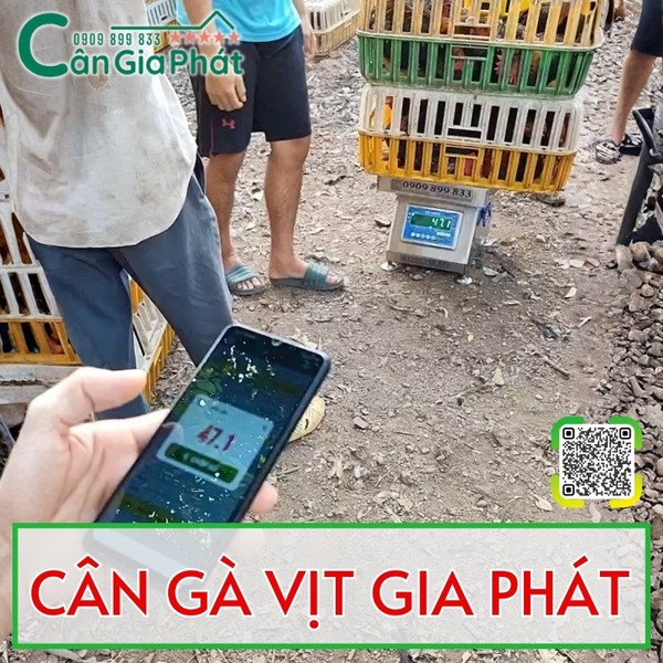 Cân gà vịt Gia Phát 100kg 200kg 300kg kết nối điện thoại