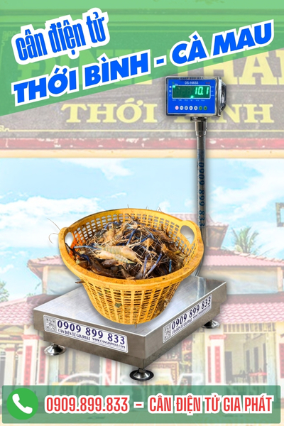 Cân điện tử ở Thới Bình Cà Mau - Cân Gia Phát