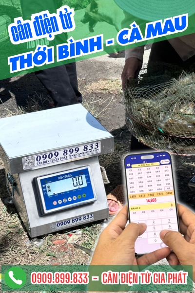 Cân điện tử ở xã Thới Bình Cà Mau - Cân Gia Phát