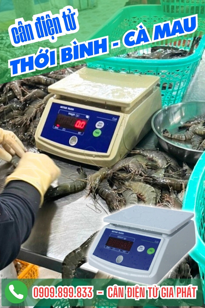 Cân điện tử ở xã Thới Bình Cà Mau - Cân Gia Phát