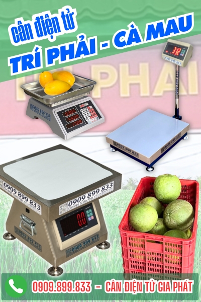 Cân điện tử ở Trí Phải Cà Mau - Cân Gia Phát
