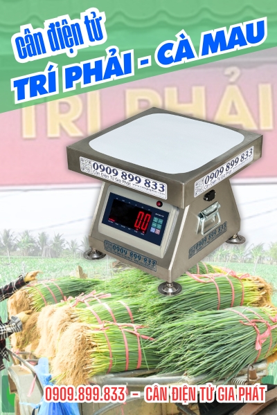 Cân điện tử ở Trí Phải Cà Mau - Cân Gia Phát