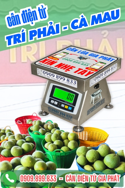 Cân điện tử ở Trí Phải Cà Mau - Cân Gia Phát