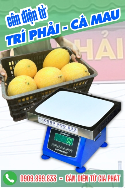Cân điện tử ở Trí Phải Cà Mau - Cân Gia Phát