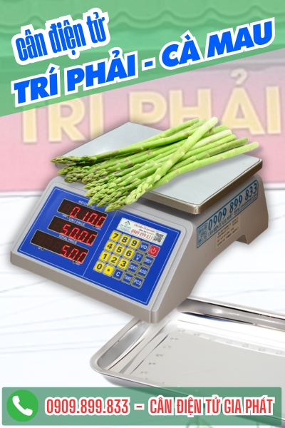 Cân điện tử ở Trí Phải Cà Mau - Cân Gia Phát