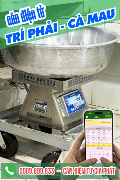 Cân điện tử ở Trí Phải Cà Mau - Cân Gia Phát