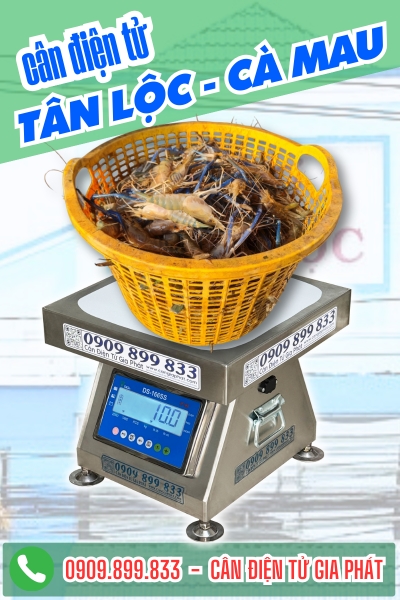 Cân điện tử ở xã Tân Lộc Cà Mau - Cân Gia Phát