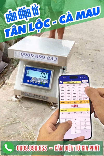 Cân điện tử ở xã Tân Lộc Cà Mau - Cân Gia Phát