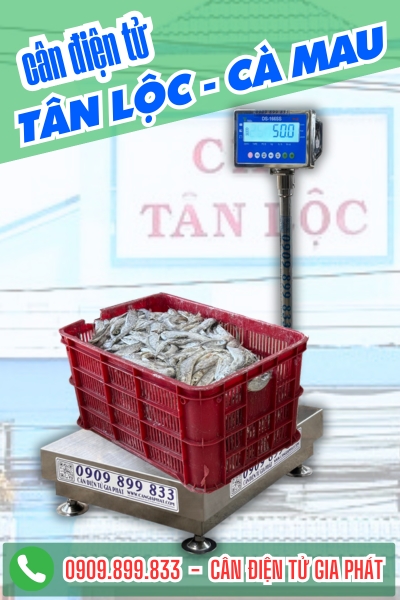 Cân điện tử ở xã Tân Lộc Cà Mau - Cân Gia Phát