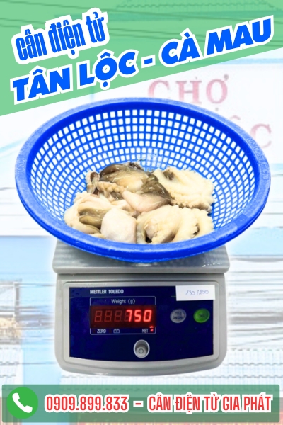 Cân điện tử ở xã Tân Lộc Cà Mau - Cân Gia Phát