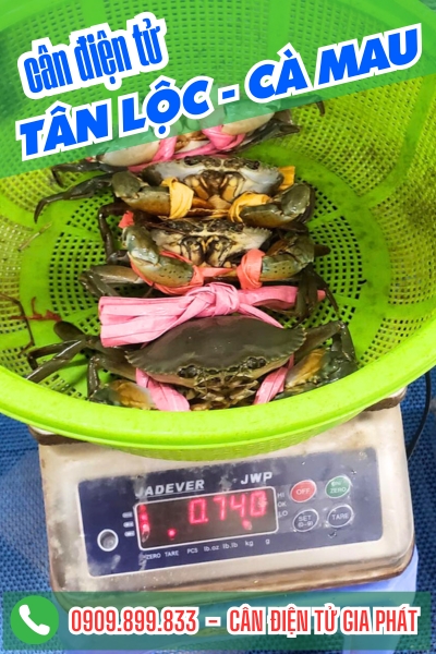 Cân điện tử ở xã Tân Lộc Cà Mau - Cân Gia Phát