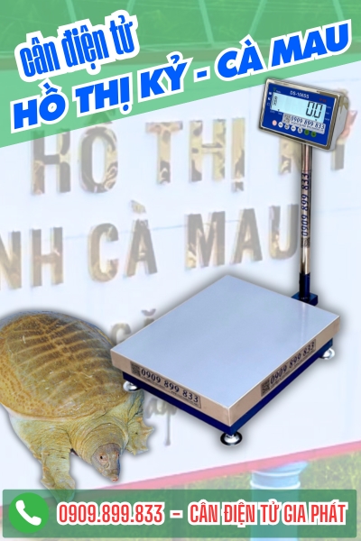 Cân điện tử ở Hồ Thị Kỷ Cà Mau - Cân Gia Phát