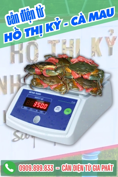 Cân điện tử ở Hồ Thị Kỷ Cà Mau - Cân Gia Phát
