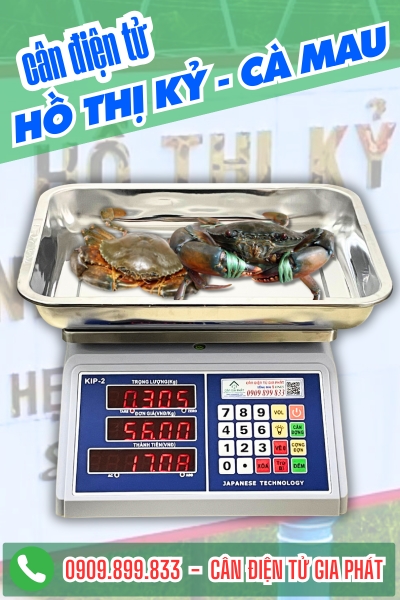 Cân điện tử ở Hồ Thị Kỷ Cà Mau - Cân Gia Phát