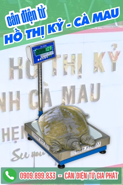 Top cân điện tử ở xã Hồ Thị Kỷ Cà Mau chuyên cân cua đinh 