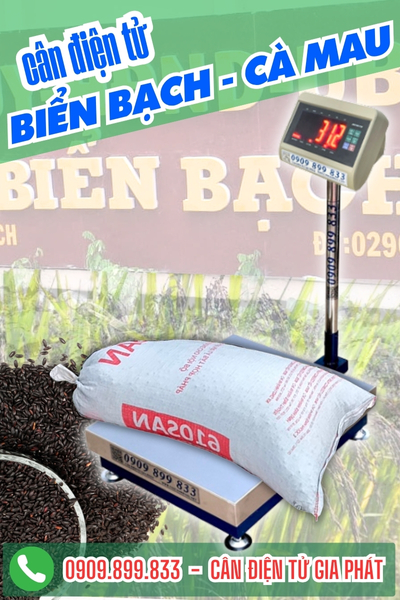 Cân điện tử ở Biển Bạch Cà Mau - Cân Gia Phát