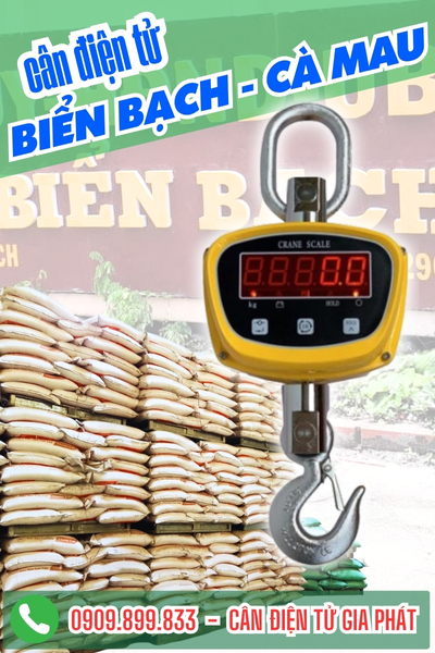 Cân điện tử ở Biển Bạch Cà Mau - Cân Gia Phát