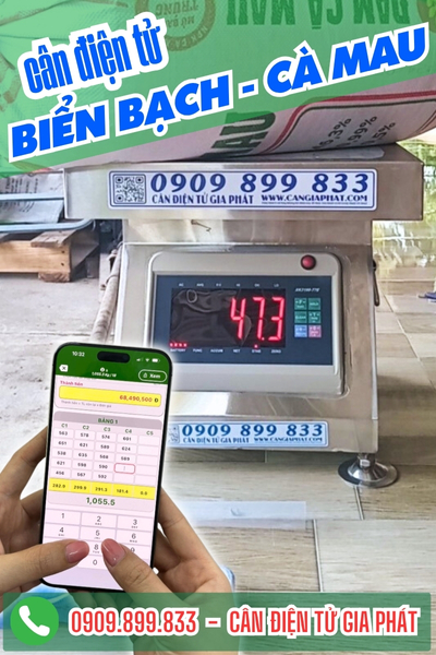 Cân điện tử ở Biển Bạch Cà Mau - Cân Gia Phát