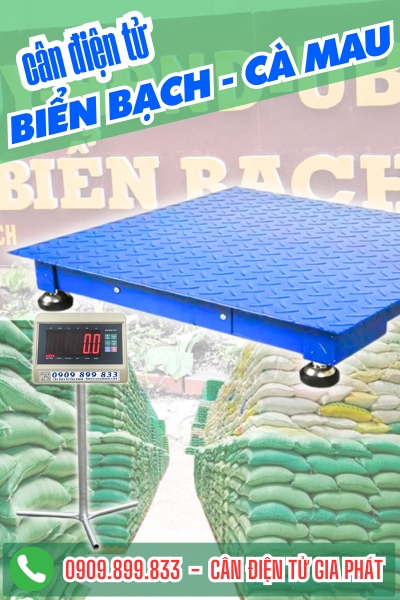 Cân điện tử ở Biển Bạch Cà Mau - Cân Gia Phát