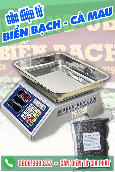 Cân điện tử ở Biển Bạch Cà Mau - Cân Gia Phát