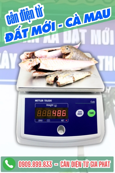 Cân điện tử xã Đất Mới Cà Mau - Cân Gia Phát