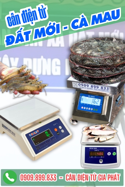 Cân điện tử xã Đất Mới Cà Mau - Cân Gia Phát