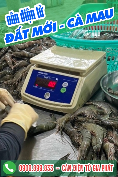 Cân điện tử xã Đất Mới Cà Mau - Cân Gia Phát