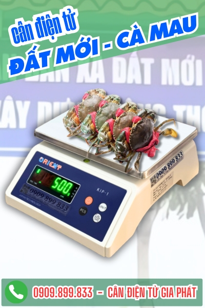 Cân điện tử xã Đất Mới Cà Mau - Cân Gia Phát