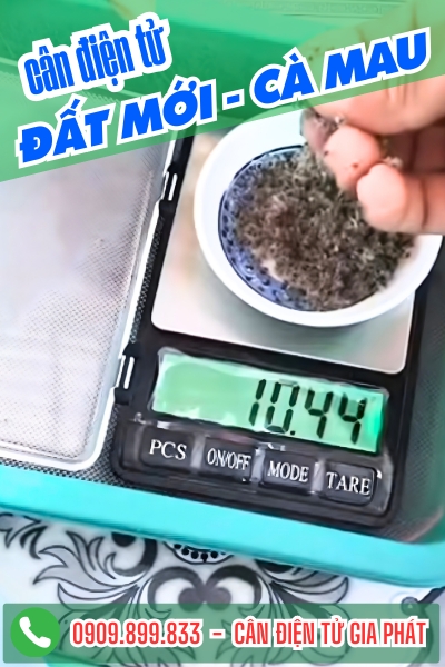 Cân điện tử xã Đất Mới Cà Mau - Cân Gia Phát