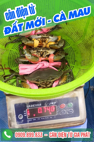 Cân điện tử xã Đất Mới Cà Mau - Cân Gia Phát