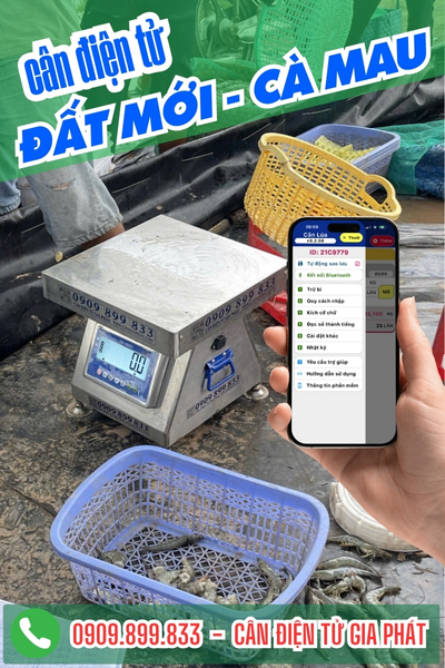 Cân điện tử xã Đất Mới Cà Mau - Cân Gia Phát